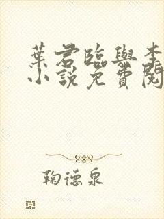 叶君临与李子柒小说免费阅读