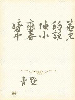 暗恋他的第十一年春小说免费阅读