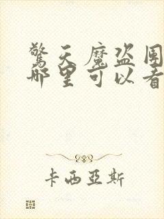 惊天魔盗团2在哪里可以看