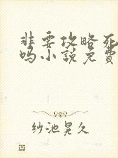 非要攻略死对头吗小说免费阅读