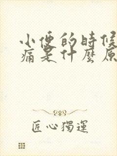 小便的时候龟头痛是什么原因