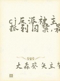 cj反派被主角抓到囚禁,最后用钢珠逃