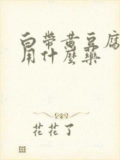 白带黄豆腐渣状用什么药封面