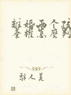 离婚两个孩子抚养权怎么判