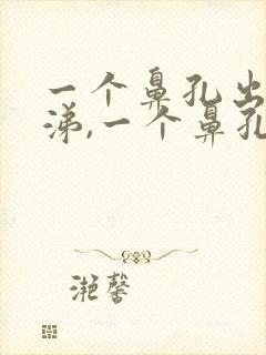 一个鼻孔出黄鼻涕,一个鼻孔出清鼻涕