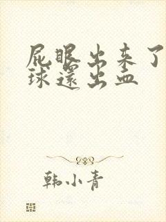 屁眼出来了个肉球还出血封面