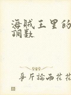 海贼王里的女帝调数