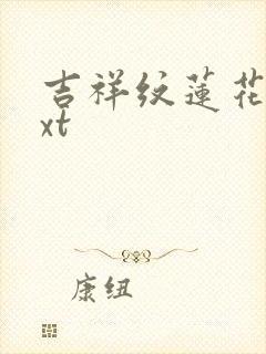 吉祥纹莲花楼txt