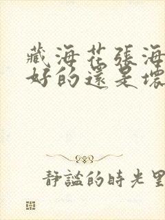 藏海花张海杏是好的还是坏的封面