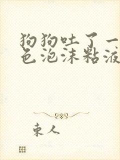 狗狗吐了一滩白色泡沫粘液应该咋办