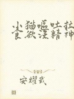 小猫呕吐拉稀没食欲没精神封面