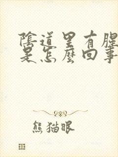 阴道里有腥臭味是怎么回事封面