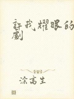 许我耀眼的电视剧封面