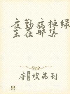 夜勤病栋绿头女主在哪集