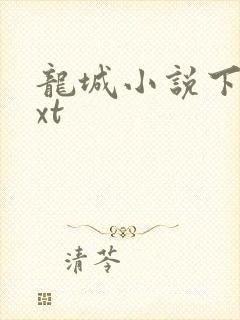 龙城小说下载txt