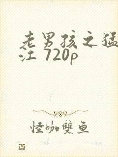 老男孩之猛龙过江 720p