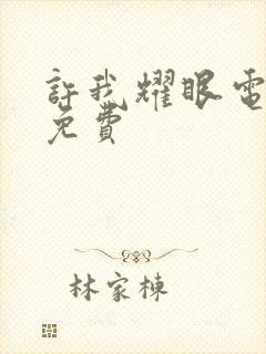 许我耀眼电视剧免费