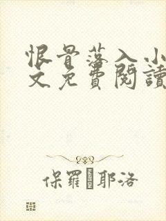 恨骨落入小说全文免费阅读