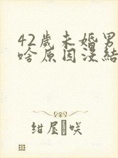 42岁未婚男是啥原因没结婚封面