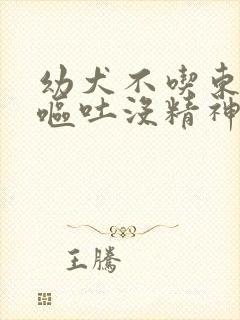 幼犬不吃东西还呕吐没精神怎么办