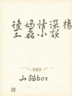 后妈情深杨晓芬王磊小说