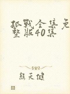 孤战全集免费完整版40集封面