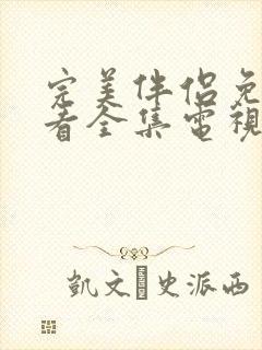 完美伴侣免费观看全集电视剧