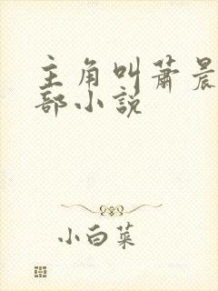 主角叫萧晨的全部小说