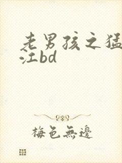 老男孩之猛龙过江bd