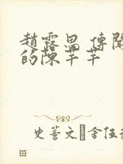 赵露思 传闻中的陈芊芊封面