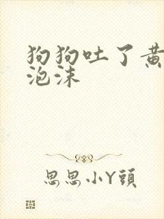 狗狗吐了黄水白泡沫