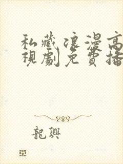 私藏浪漫高清电视剧免费播放