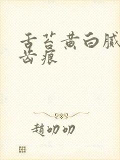 舌苔黄白腻厚有齿痕