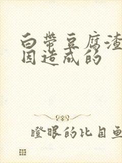 白带豆腐渣状原因造成的