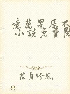 亿万星辰不及你 小说免费阅读