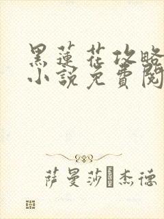 黑莲花攻略手册小说免费阅读全文