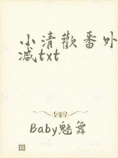 小清欢番外未删减txt