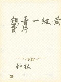 想看一级黄色免费片