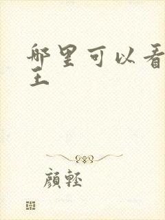 哪里可以看海贼王