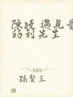 陈晓 遇见爱情的利先生