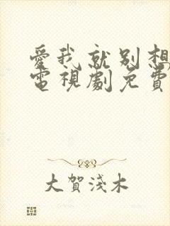 爱我就别想太多电视剧免费播放在线封面