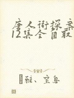 唐人街探案网剧12集全自取