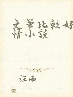 文笔比较好的言情小说