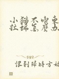 小猫不吃东西还拉稀怎么办