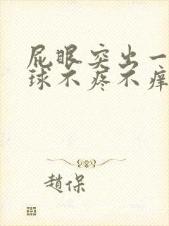 屁眼突出一个肉球不疼不痒封面