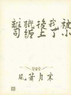 离职后我被前上司缠上了小说免费全集封面