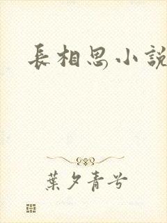 长相思小说原著封面