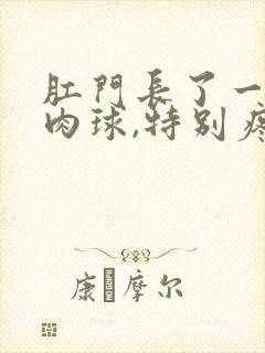 肛门长了一个硬肉球,特别疼封面