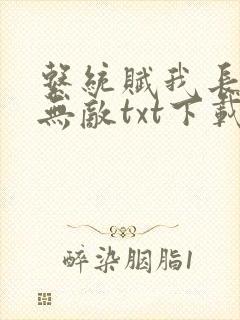 系统赋我长生我无敌txt下载