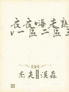 夜夜嗨老熟女av一区二区三区封面